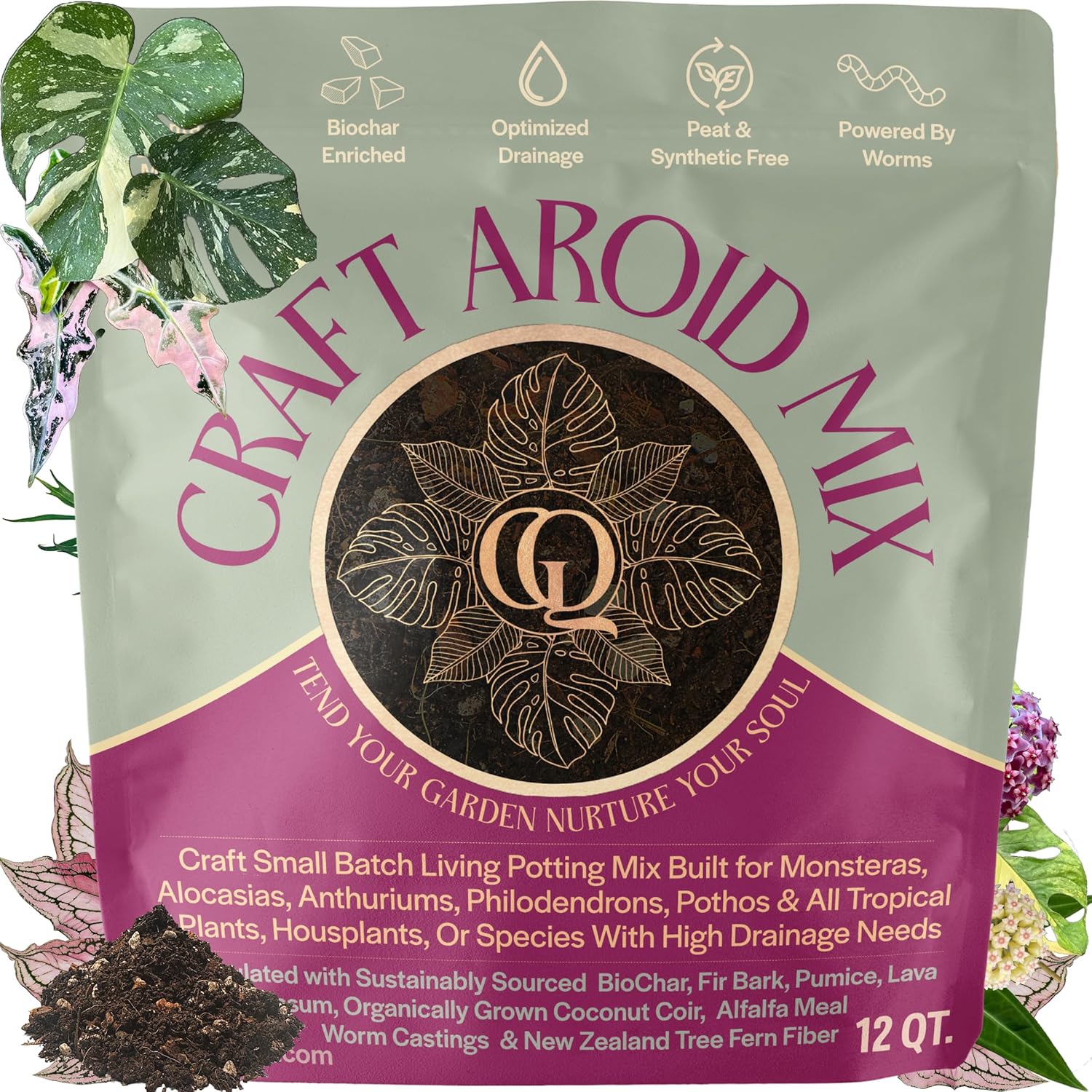 Craft Aroid Potting Mix for Alocasia, Philodendron, Monstera