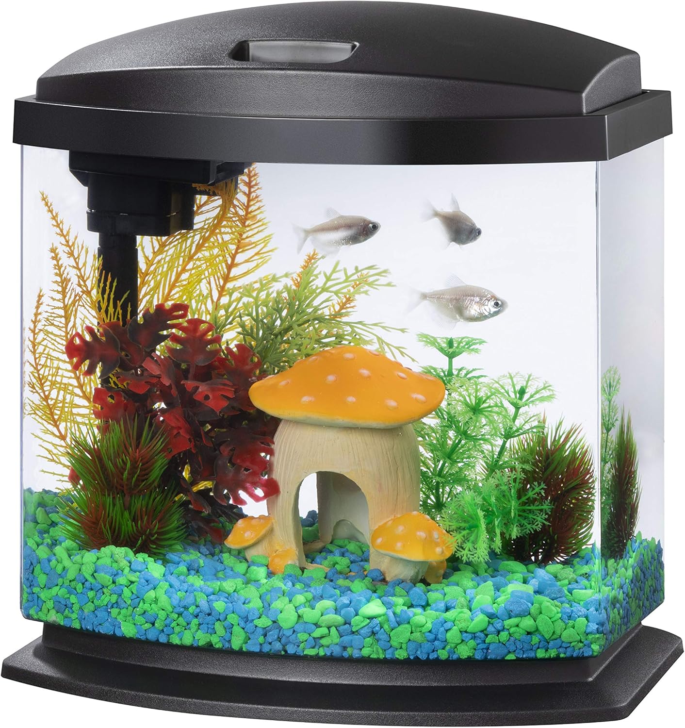 Aqueon MiniBow 2.5 Gallon Aquarium Kit - SmartClean Tech 