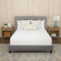Sealy Complete Protection Mattress Protector King - Waterproof