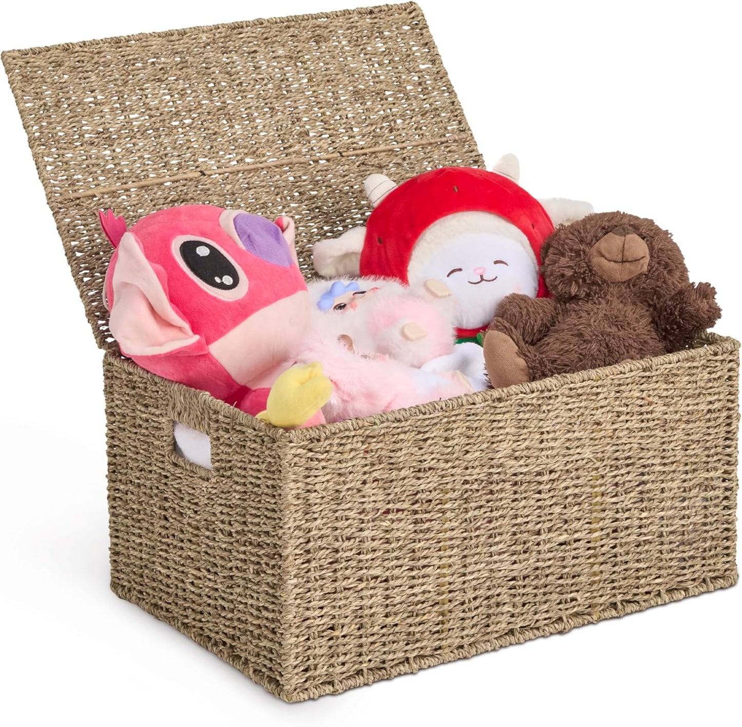 Nivora Seagrass Storage Trunk: Stylish Organizer for Any Space