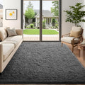 Ophanie 5x7 Area Rug Grey - Fluffy Shag Plush Comfort