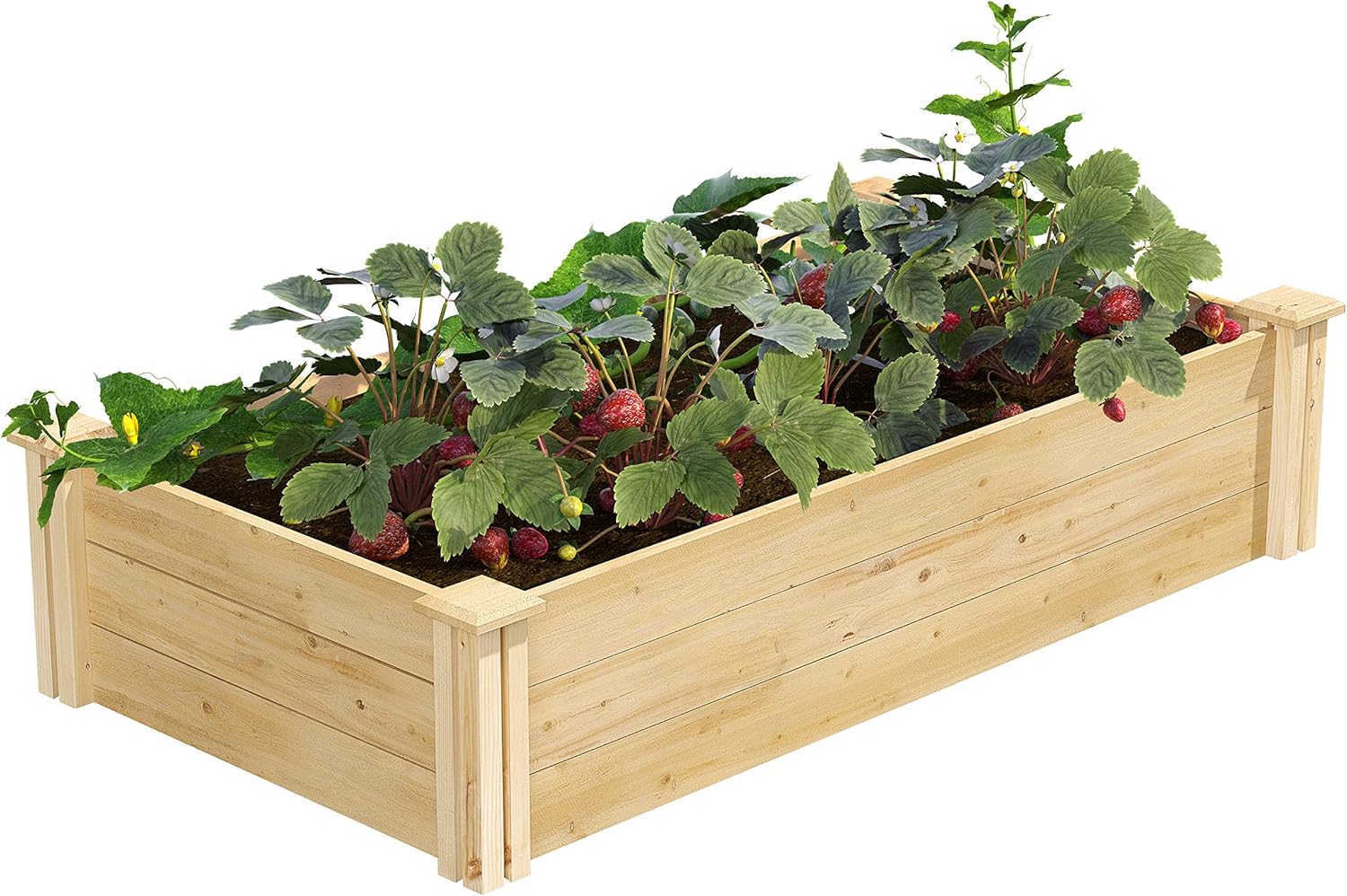 Greenes Fence Cedar Raised Garden Bed for Easy Gardening Setup