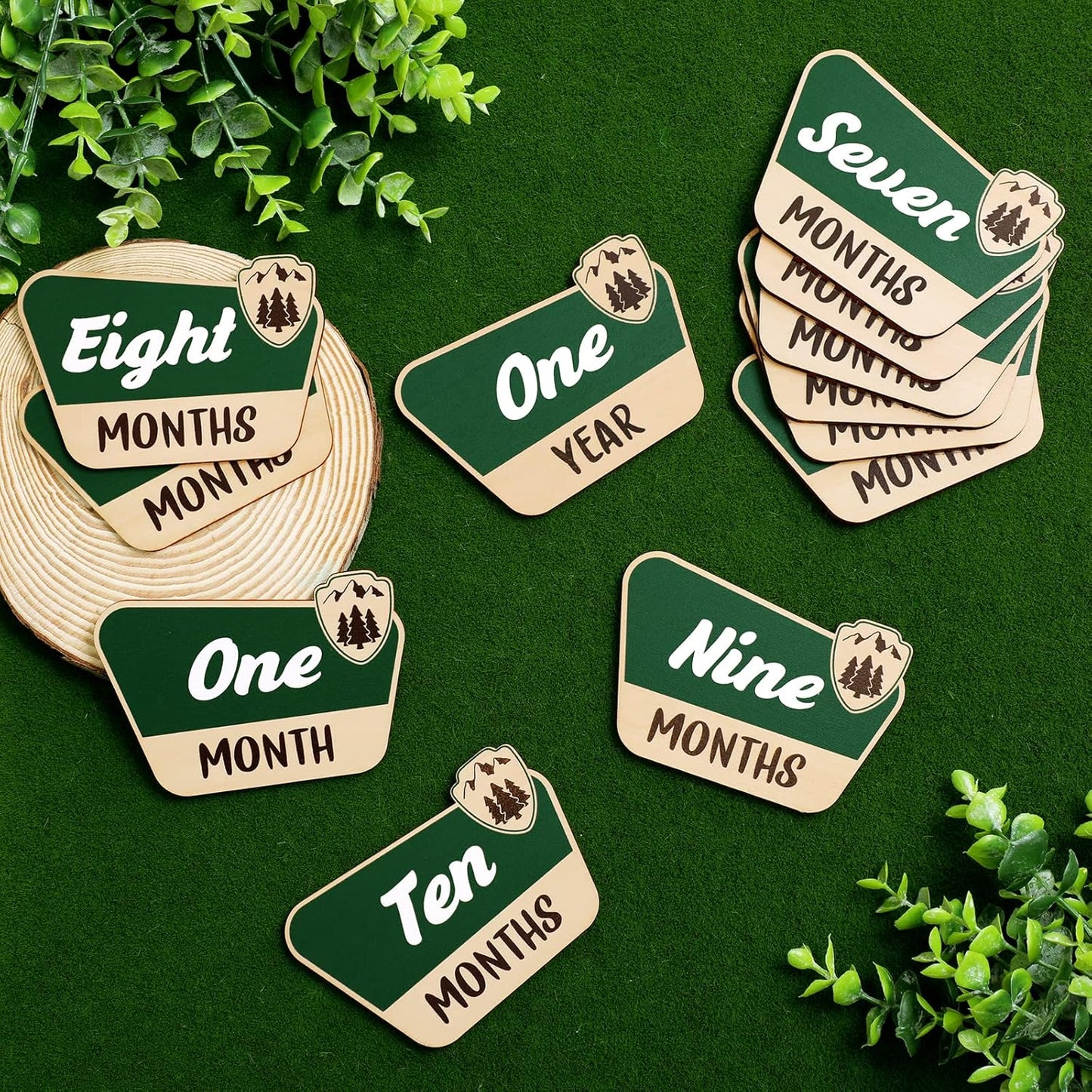 Adventure-Themed Baby Photo Props Set