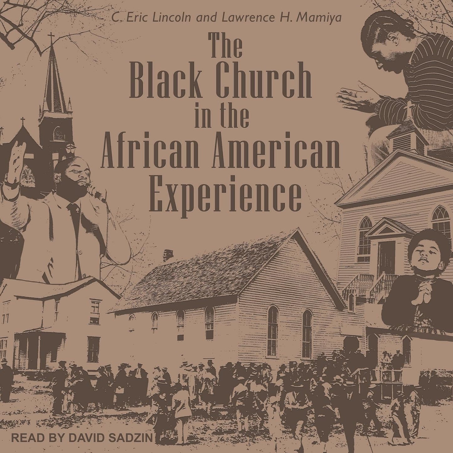 The Black Church in the African American Experience Review