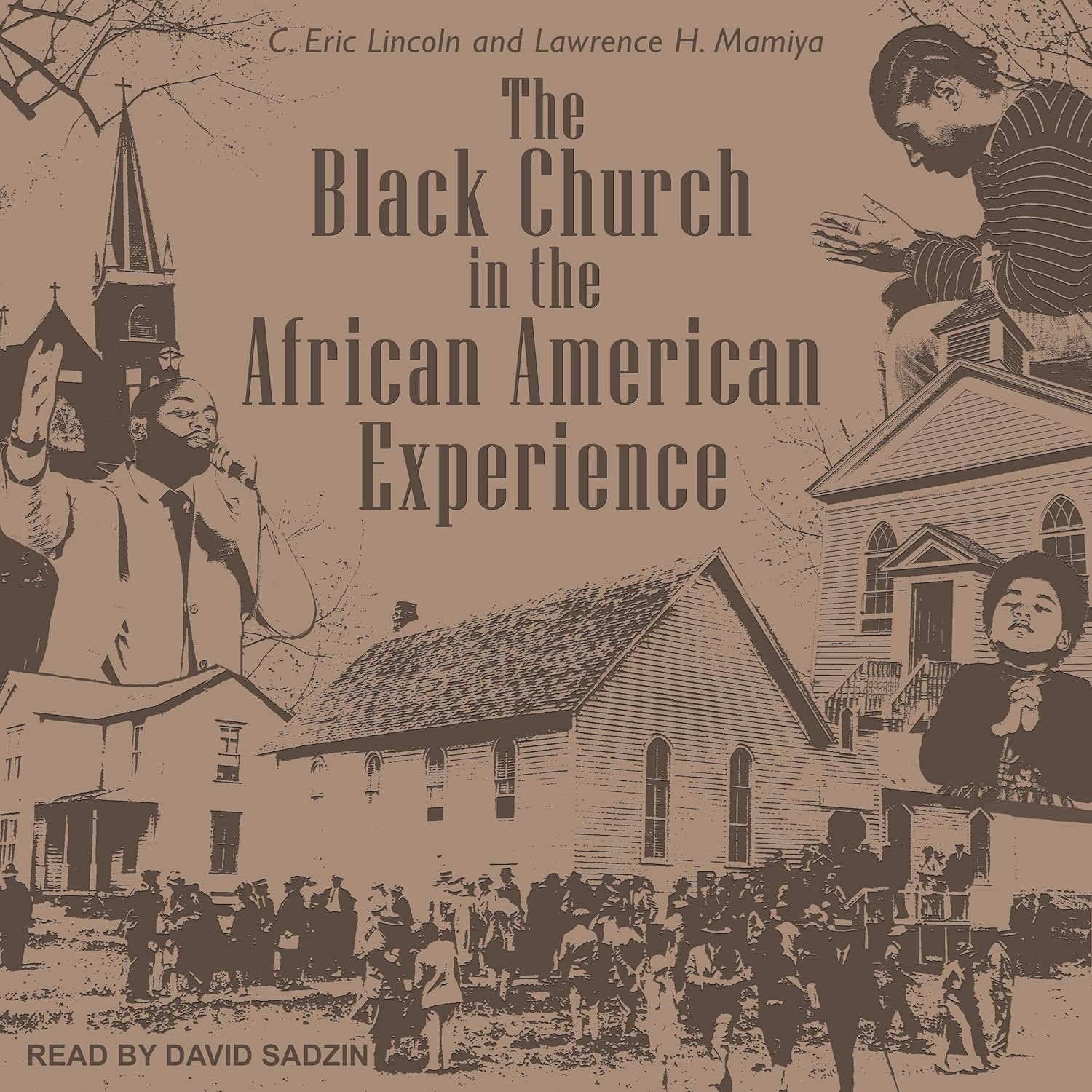 The Black Church in the African American Experience Review