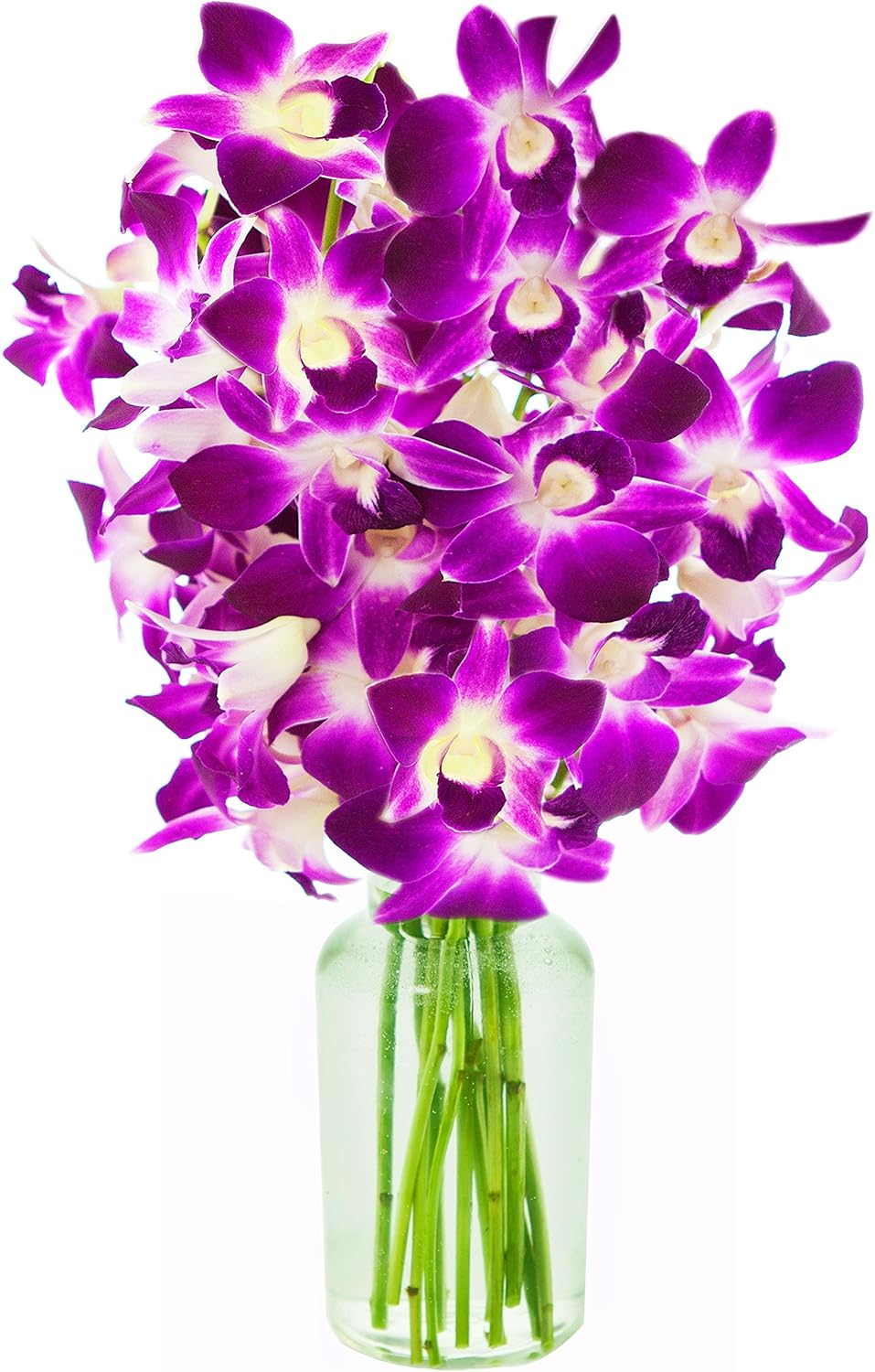 Bouquet of Purple Orchids - Perfect Gift for Any Occasion