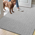 LUMI Ultra Thin Indoor Door Mat 32x48 - Low Profile Non Slip Entryway