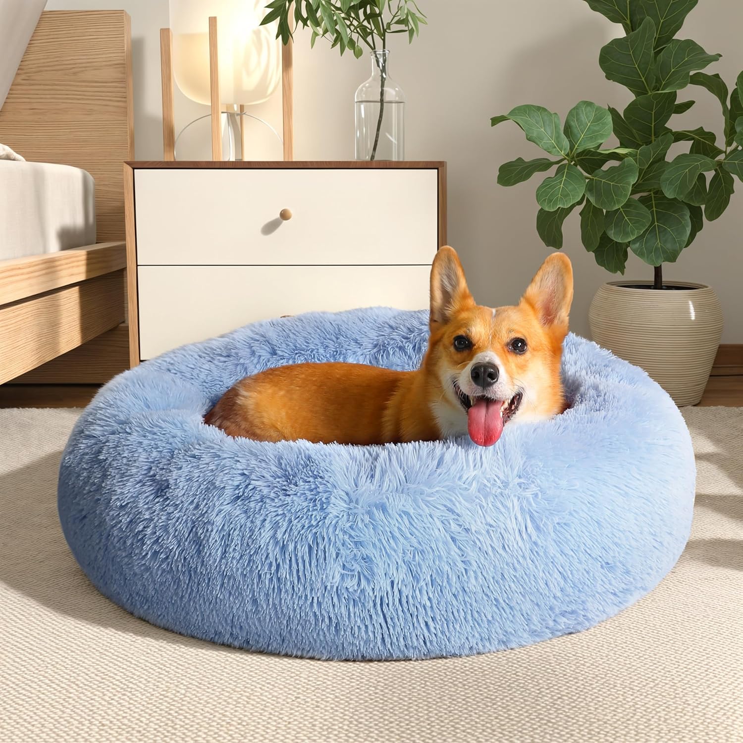 Calming Dog Bed & Cat Bed for Small Medium Pets - Cozy Comfort