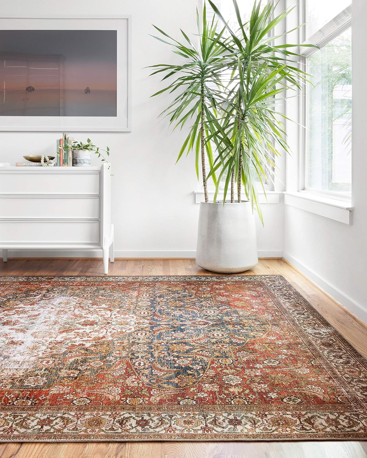 Loloi Layla Collection Vintage Inspired Area Rug for Living Room