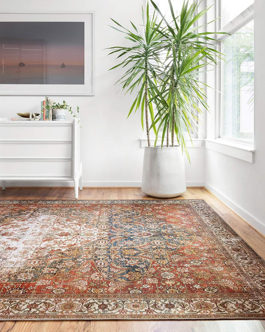 Loloi Layla Collection Vintage Inspired Area Rug for Living Room