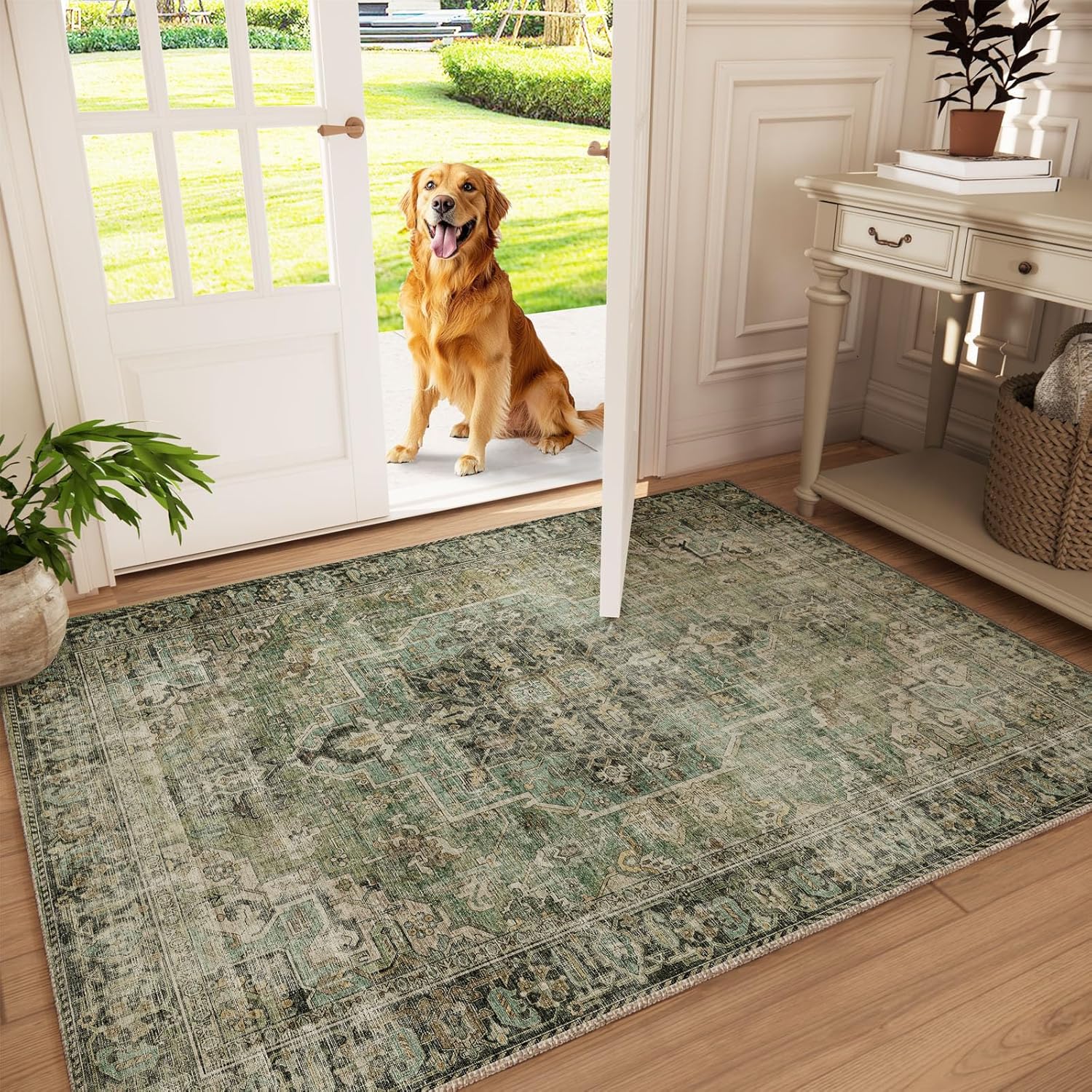 Machine Washable Throw Rugs for Entryway: Soft Non-Slip Carpet