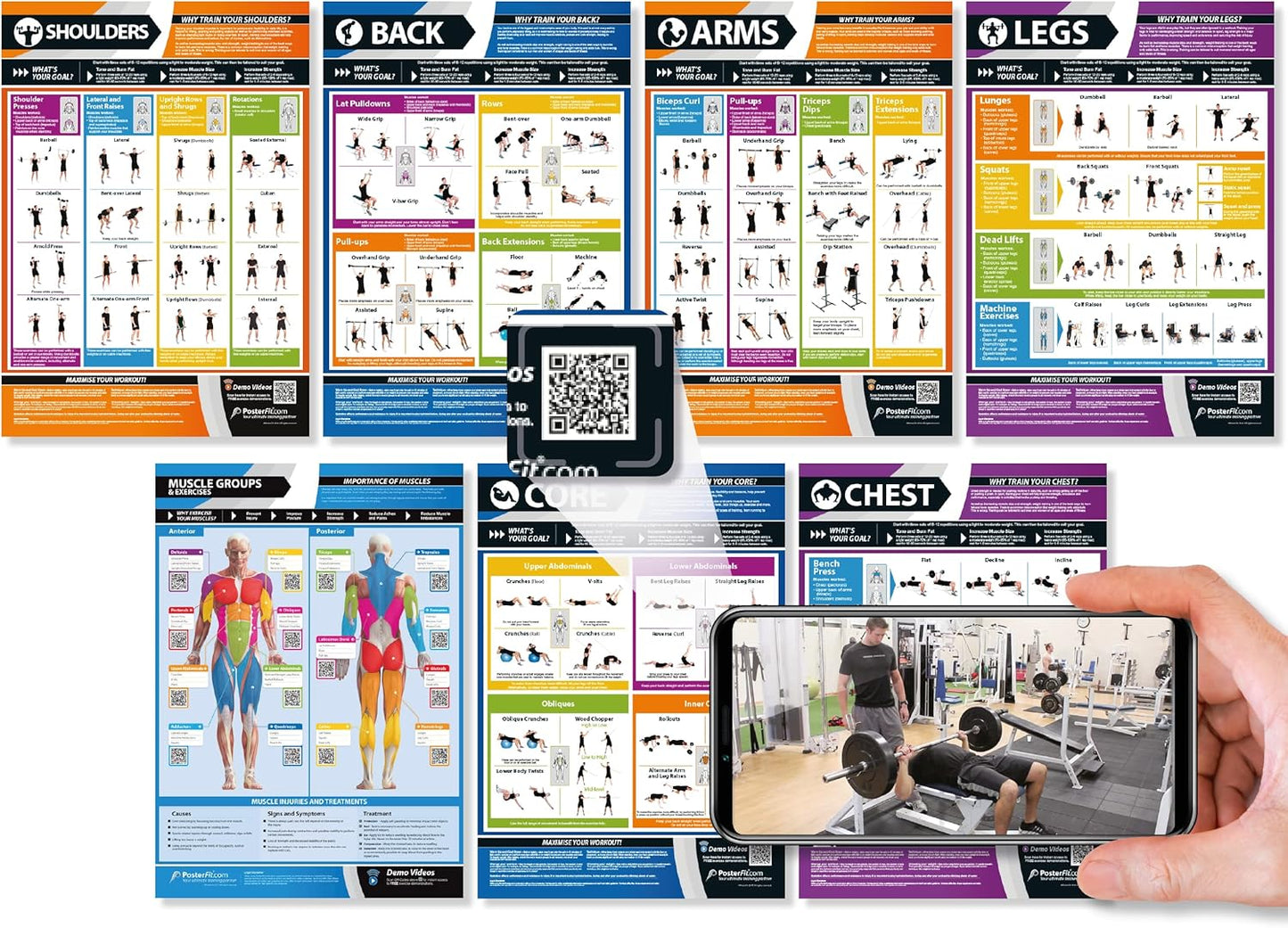 Ultimate Home Gym Workout Chart Set | Laminated Muscle Group Posters | Free Video Training | Large 24 X 16.5 | Set of 7