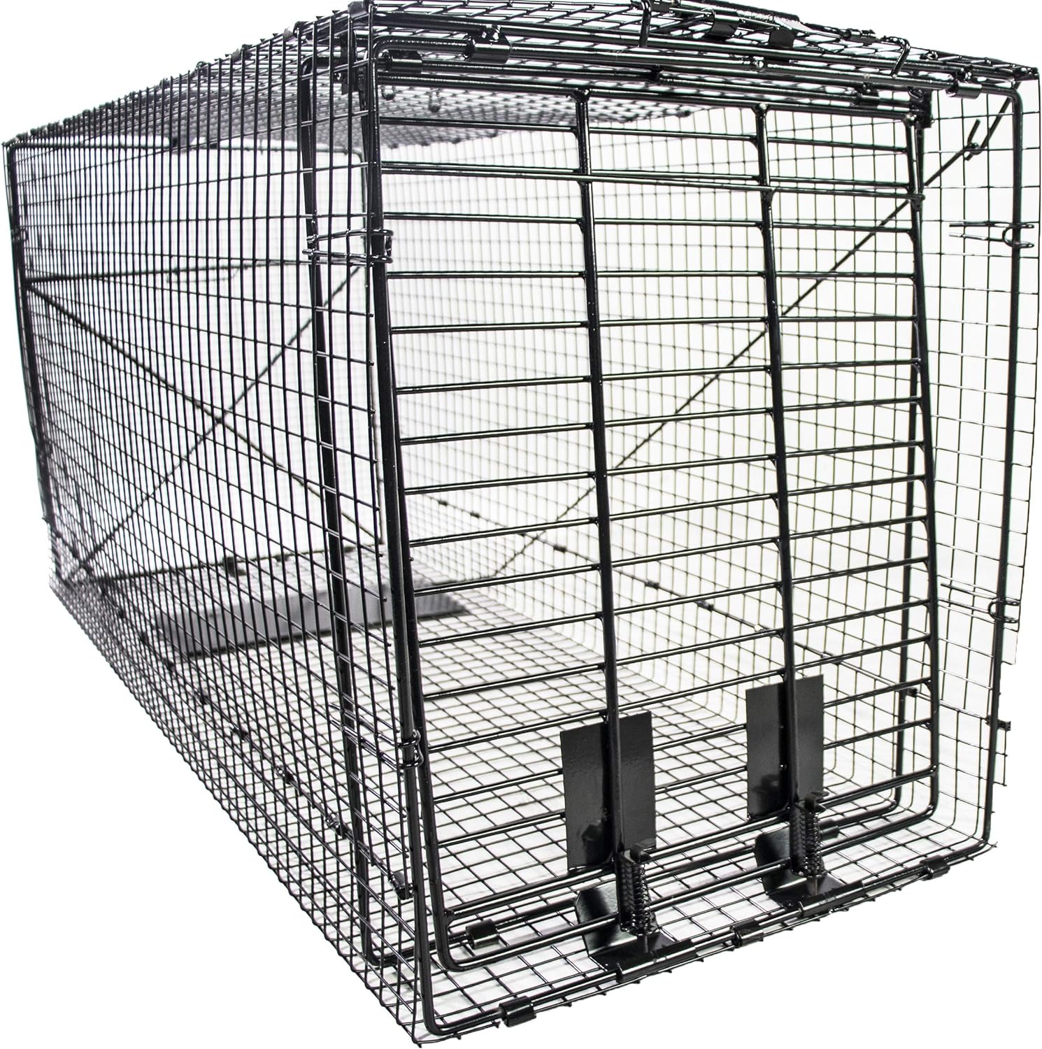 Humane Way Folding 50 Inch Live Animal Trap for Safe Capture