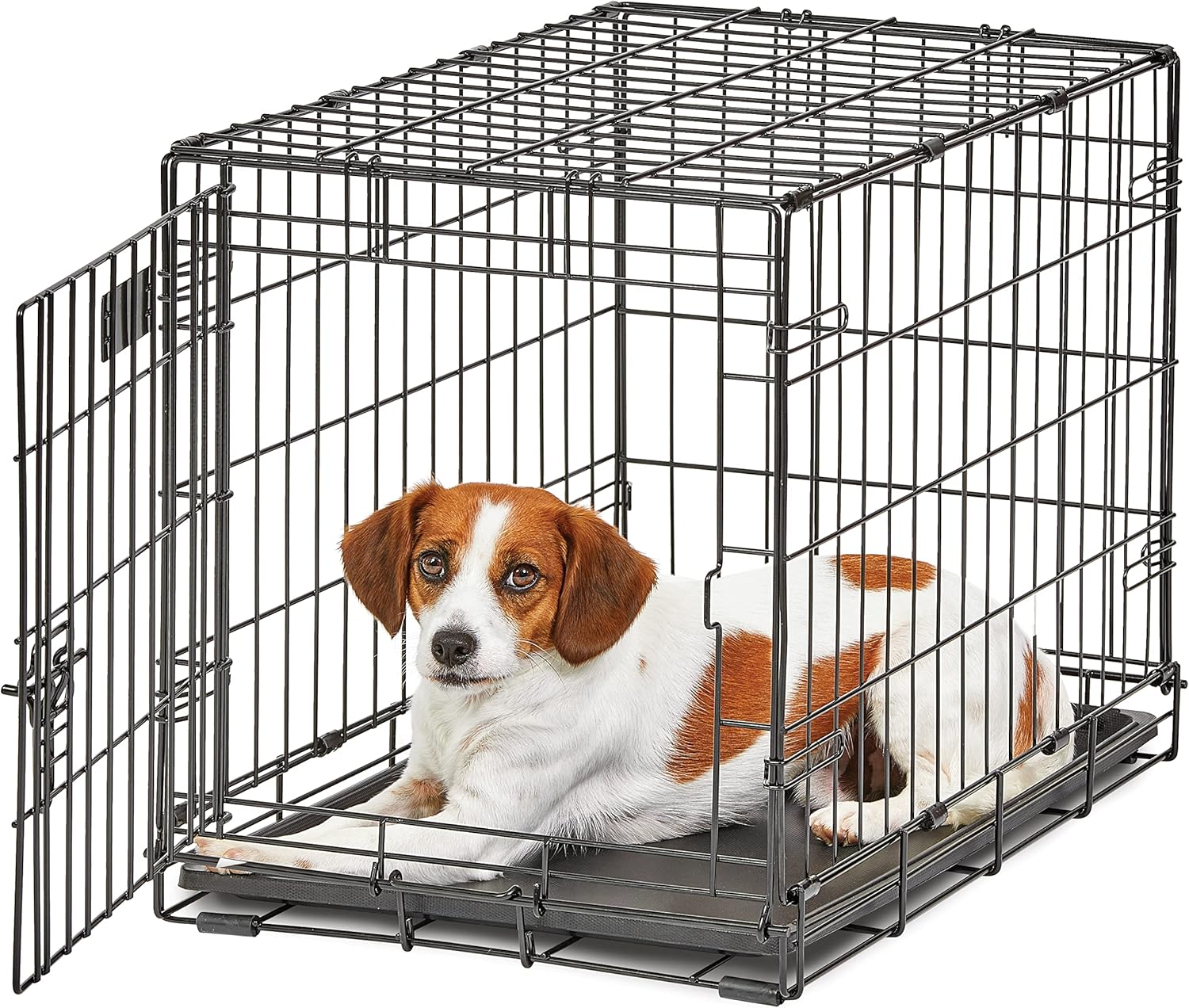MidWest Homes for Pets 24-Inch Folding Dog Crate for Small Dogs