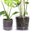 Clear Acrylic Planter Pot with Tray - Transparent Indoor Planter