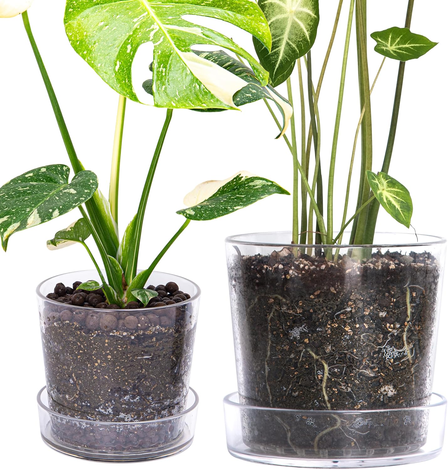 Transparent Acrylic Planter Pot for Indoor Plants and Herbs