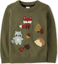 Gymboree Boys and Toddler Embroidered Pullover Sweater - Cute Fall