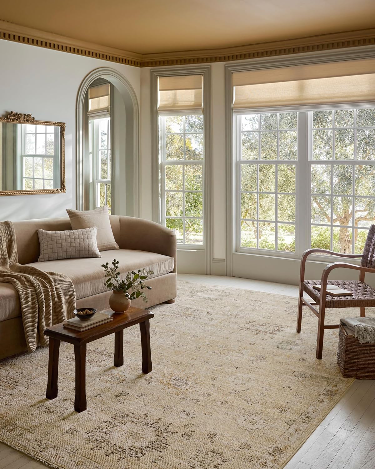 Traditional Area Rug from Magnolia Home by Joanna Gaines Collection