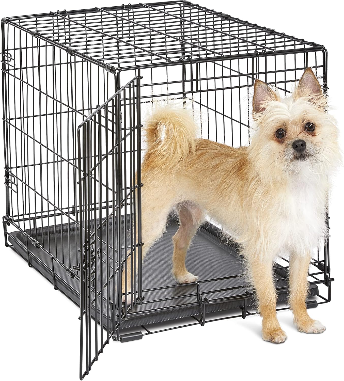 New World 24-Inch Dog Crate with Enhanced Security Features