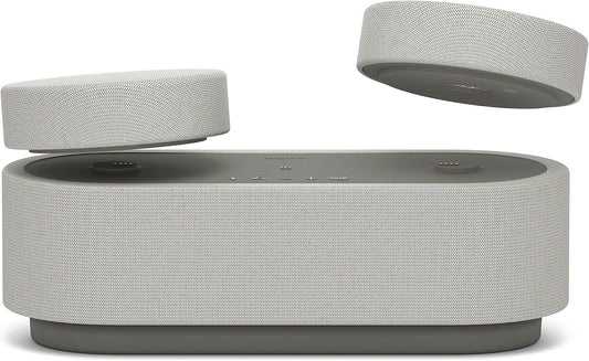 Sony Portable Theater System - Cinematic Surround Sound - 30H Battery