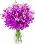 Moondance Purple Mokara Orchids (20 stems) With Vase - Long-Lasting