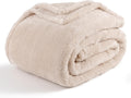 Berkshire Blanket Classic Extra-Fluffy Plush Blanket Queen Size