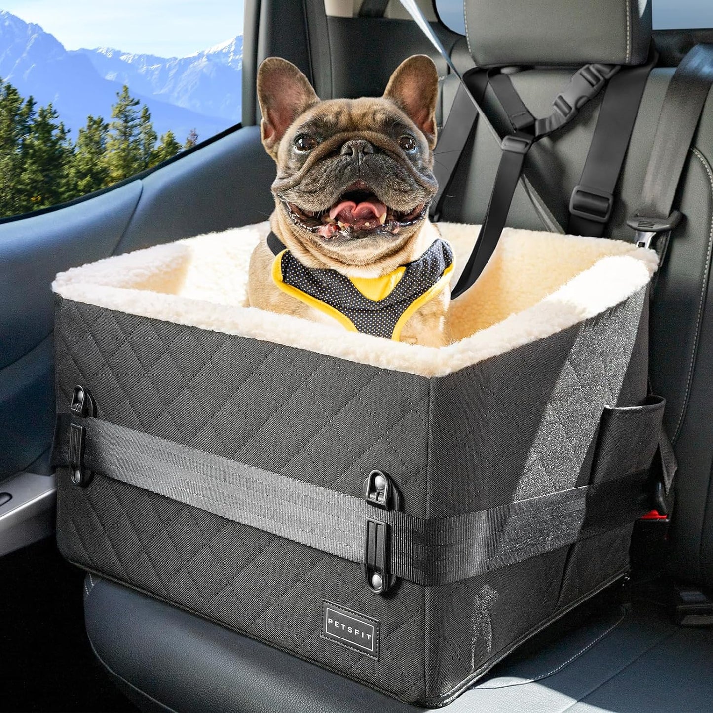 PETSFIT Dog Car Seats for Small Dogs with Safety Buckles