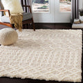 Livabliss Hapsburg Moroccan Shag Area Rug for Modern Spaces