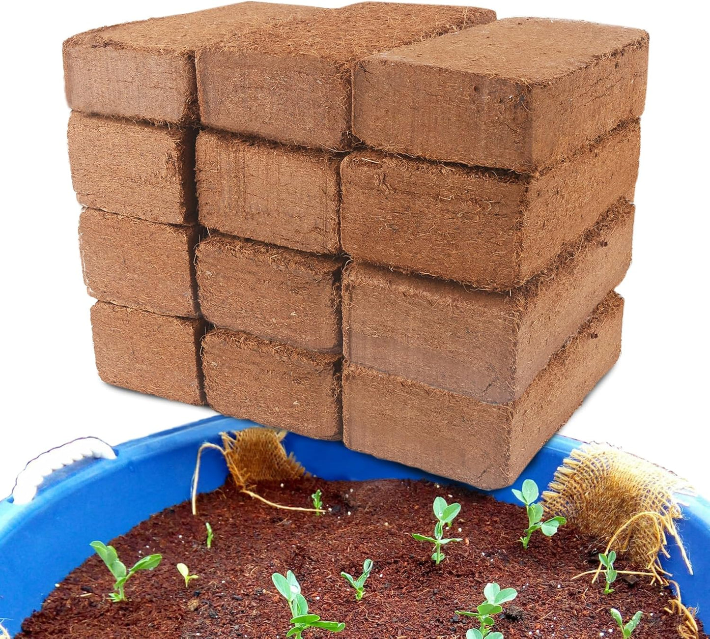 Coco Coir for Organic Planting - 12 Pack High Expansion Bricks