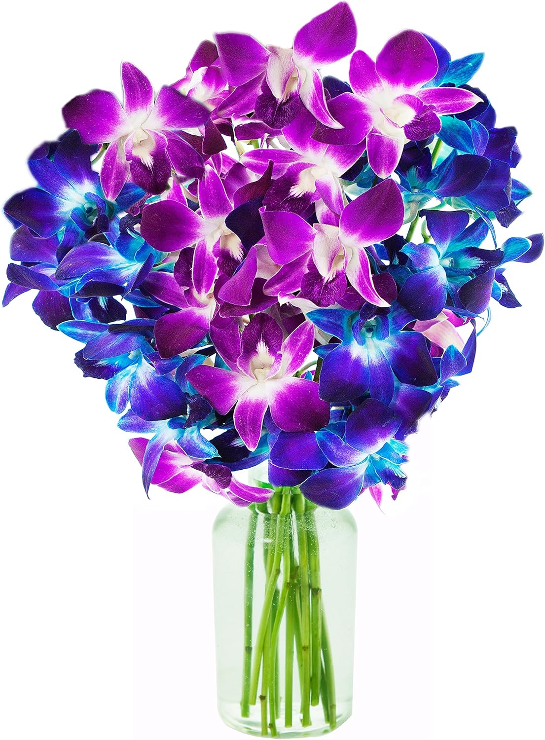 Exotic Orchid Bouquet of 10 Dendrobium Orchids for Any Occasion