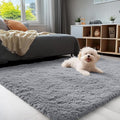 Machine Washable 3x5 Small Bedside Rug - Soft Fluffy Shaggy