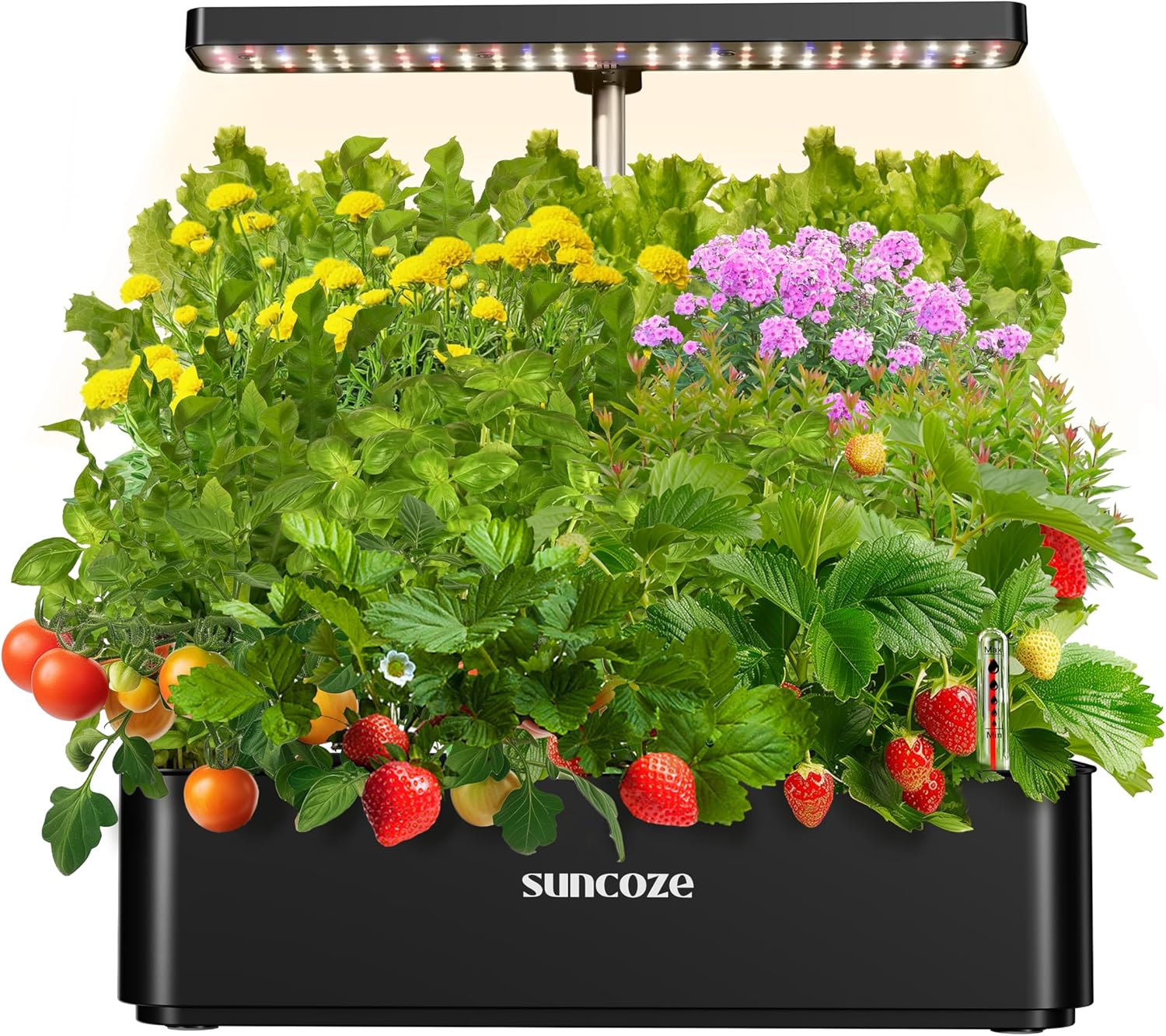 Hydroponics Growing System Kit with 12 Pods and LED Grow Light