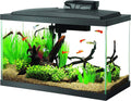 Aqueon Aquarium Fish Tank Starter Kit 10 Gallon - Complete Starter