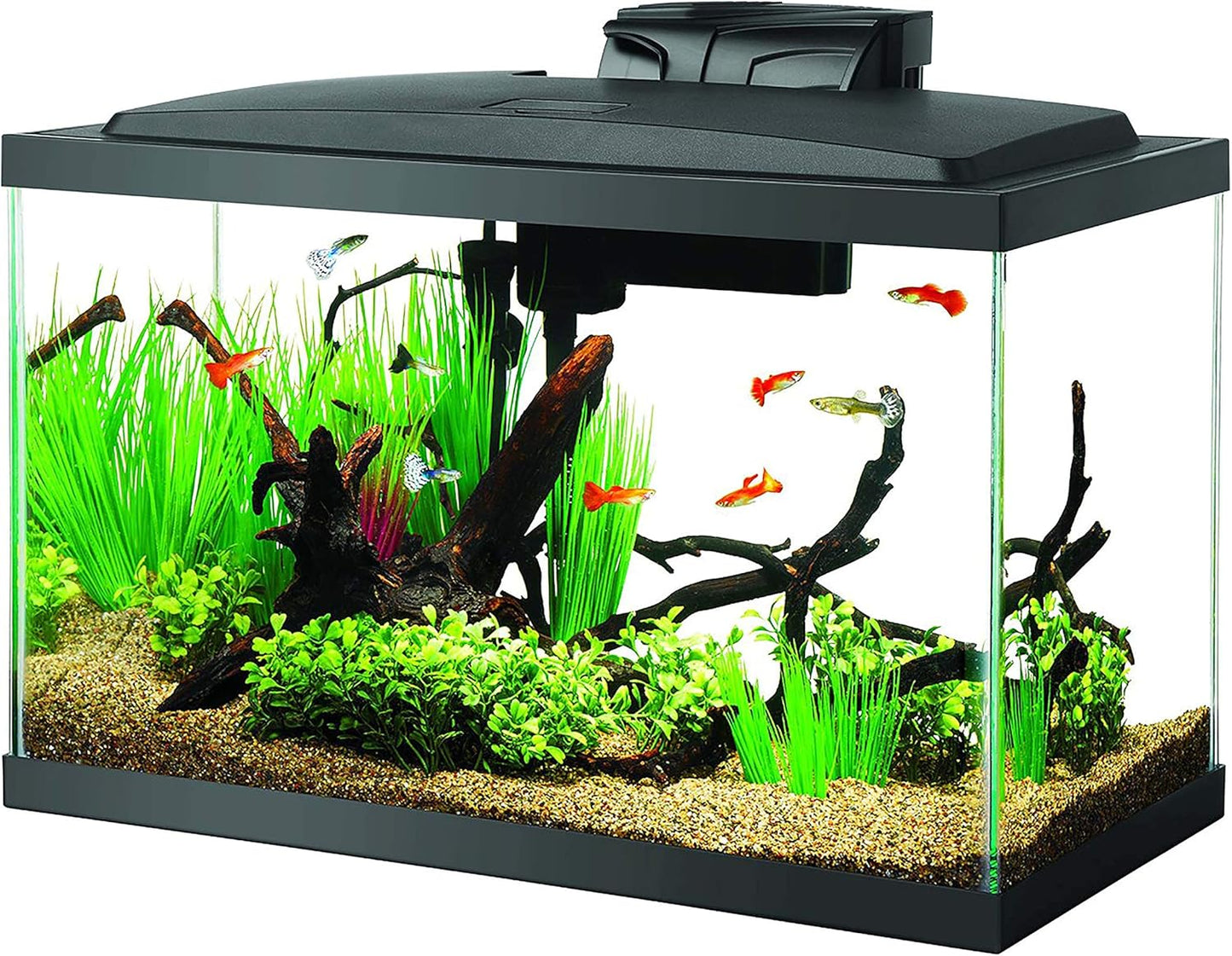 Aqueon 10 Gallon Starter Kit: Illuminate Your Fish Tank with LED Lights!