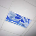 Fluorescent Light Cover 2x4 Backlit Film Insert - Classroom Focus