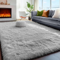 PAGISOFE Super Soft Shaggy Rug 5x7 ft - Plush Washable Area Rug