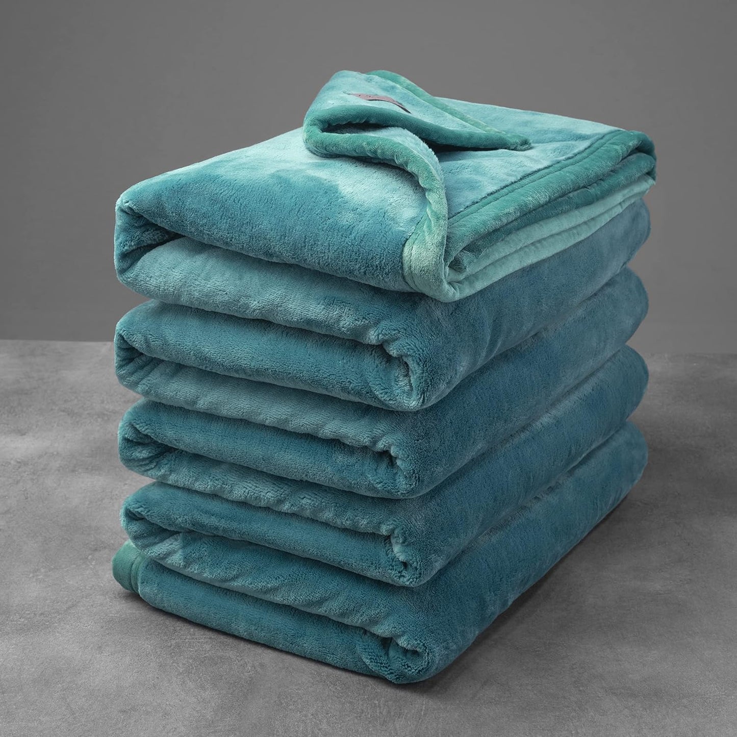 Mellowdy 500GSM Plush Winter Blanket
