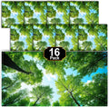 Aheroi Light Covers 16 Pcs 4 x 2 ft Forest Ceiling Covers - Soften