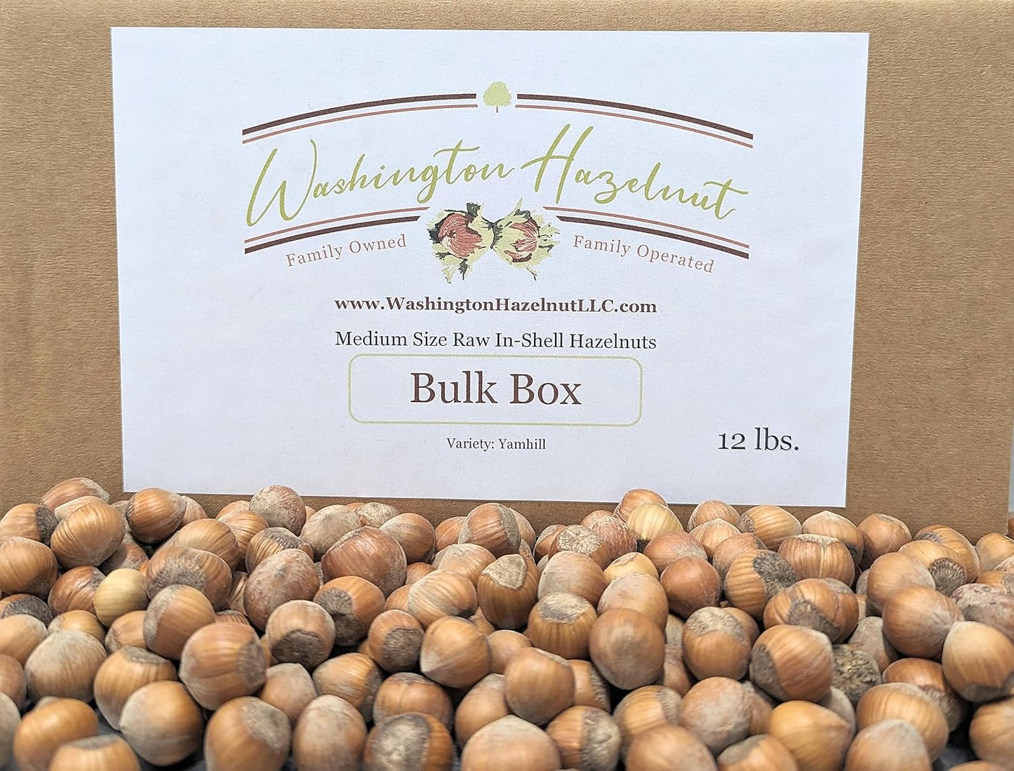 In-Shell Hazelnuts from Family Orchard - 12 Pound Bulk Box