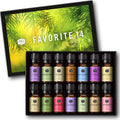 P&J Trading Fragrance Oil Favorite Set - 14 Scent DIY Kit