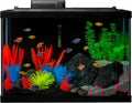GloFish 20 Gallon Aquarium Kit with LED Lights and Decor