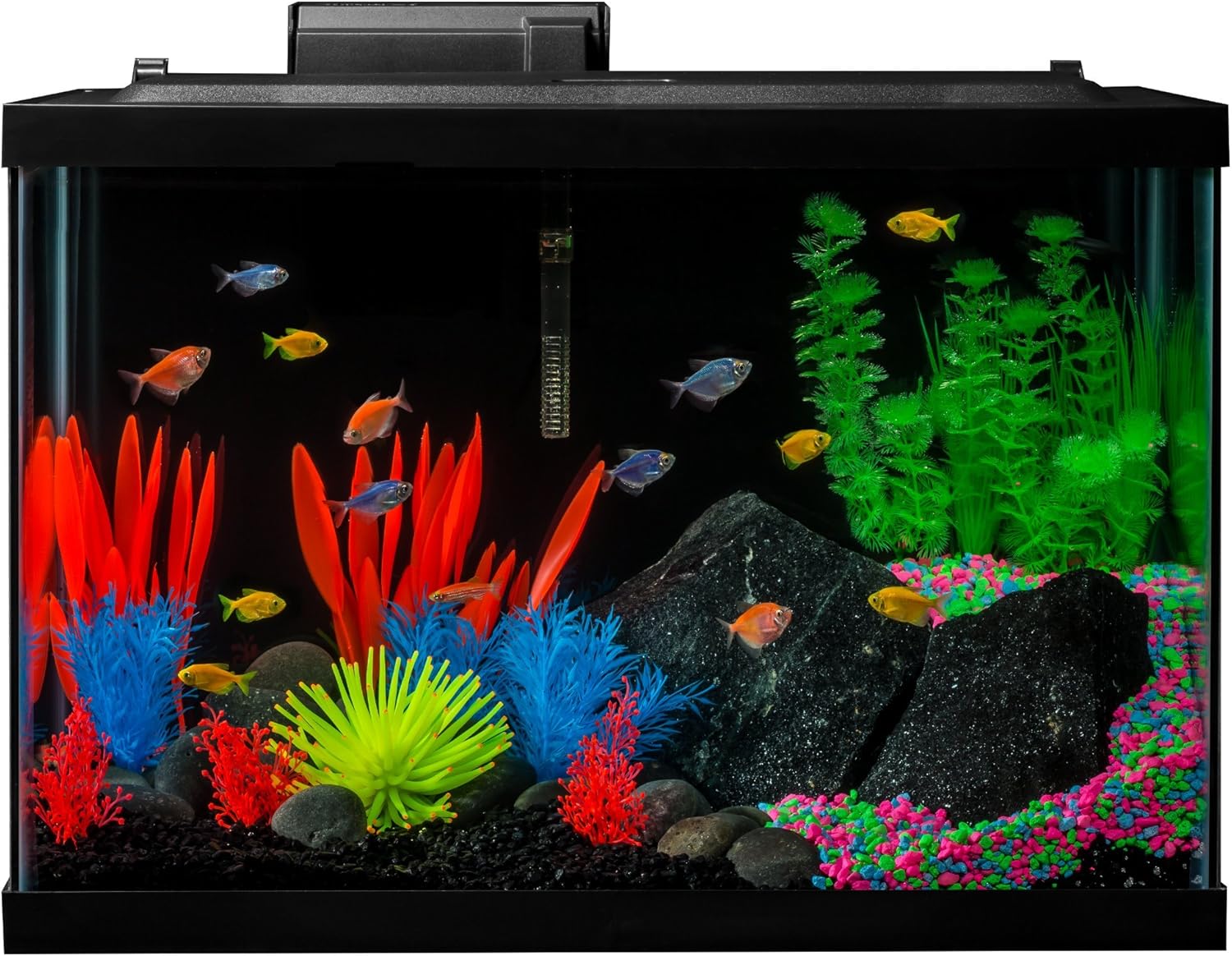 GloFish 20 Gallon Aquarium Kit with LED Lights and Decor