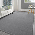 Pettop Area Rug 5x7 Grey Thickened Memory-Foam - Super Soft Indoor