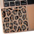 Mac OS Shortcuts Sticker Pack (100pcs) - Immediate Workflow Boost