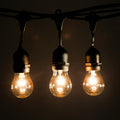 24 Foot E26 Outdoor Commercial String Lights with 12 A15 Clear Bulbs