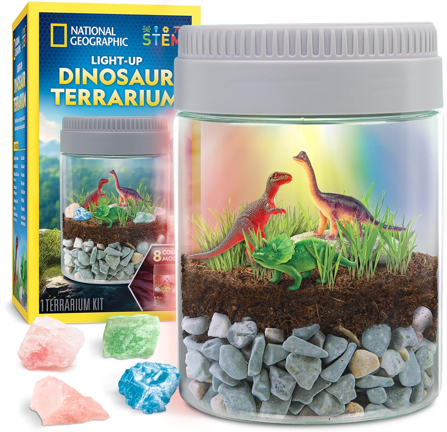National Geographic Dino Terrarium - Light Up for Kids