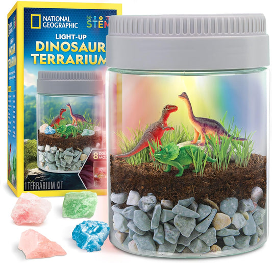 National Geographic Dino Terrarium - Light Up for Kids