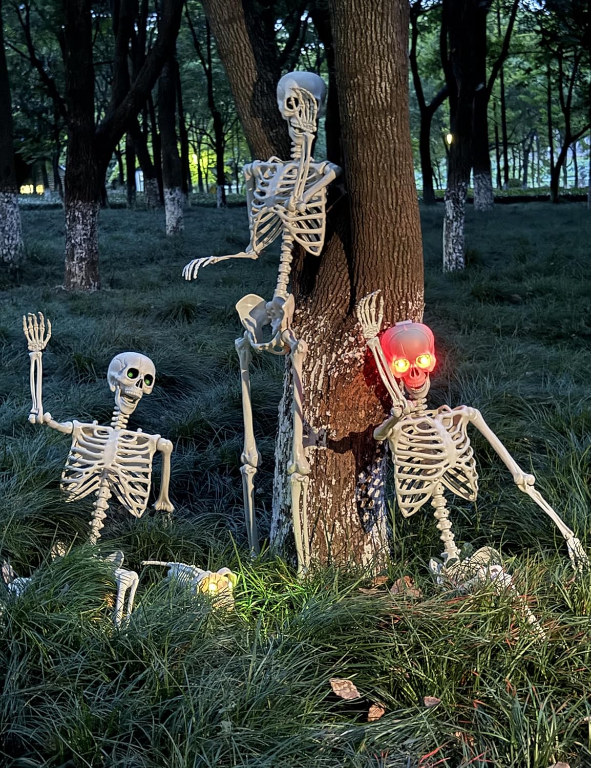 5.4Ft Life Size Skeleton with Glowing Eyes for Halloween Fun