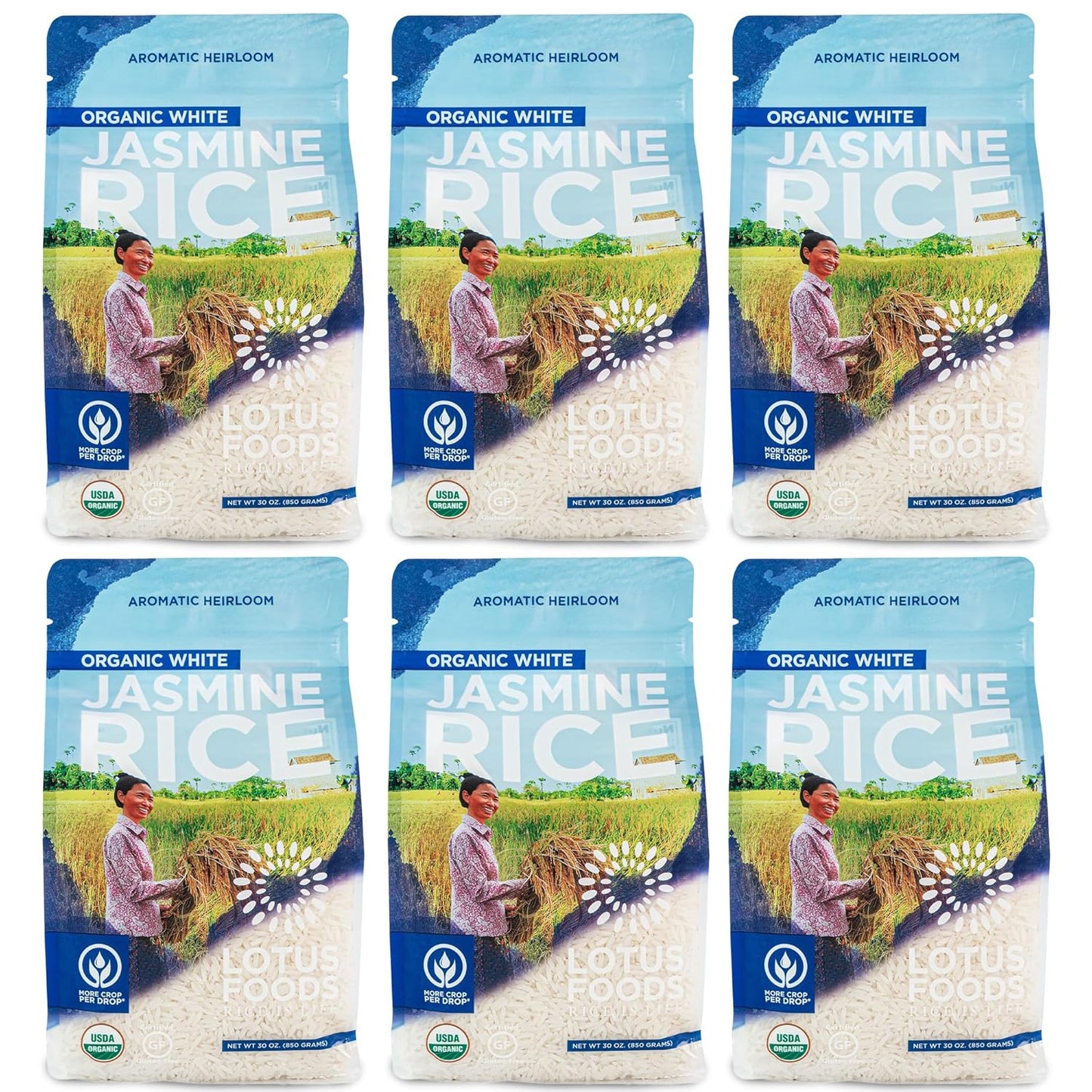 Organic White Jasmine Rice - Gluten Free and Vegan Delight