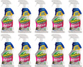 OdoBan Pet Solutions Oxy Stain Remover for Tough Pet Stains